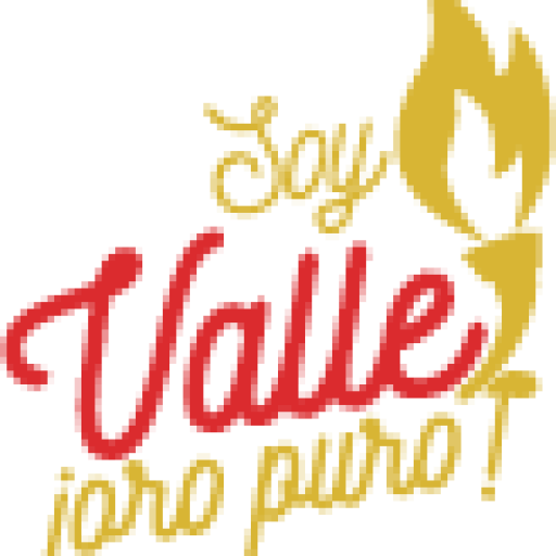 cropped-icono-soyvalle.png